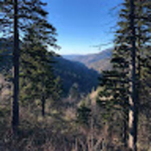 Meet your Posher, Logan